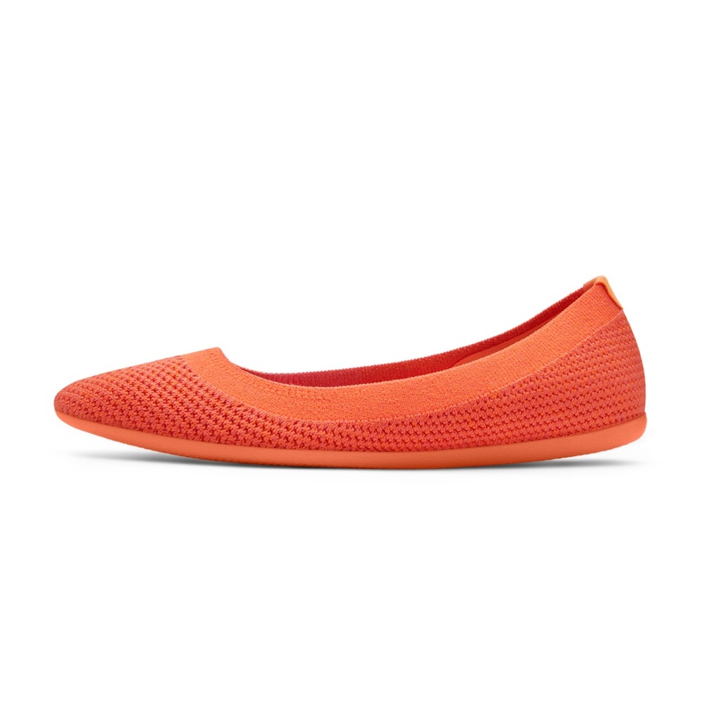 Allbirds Tree Breezers 🍊